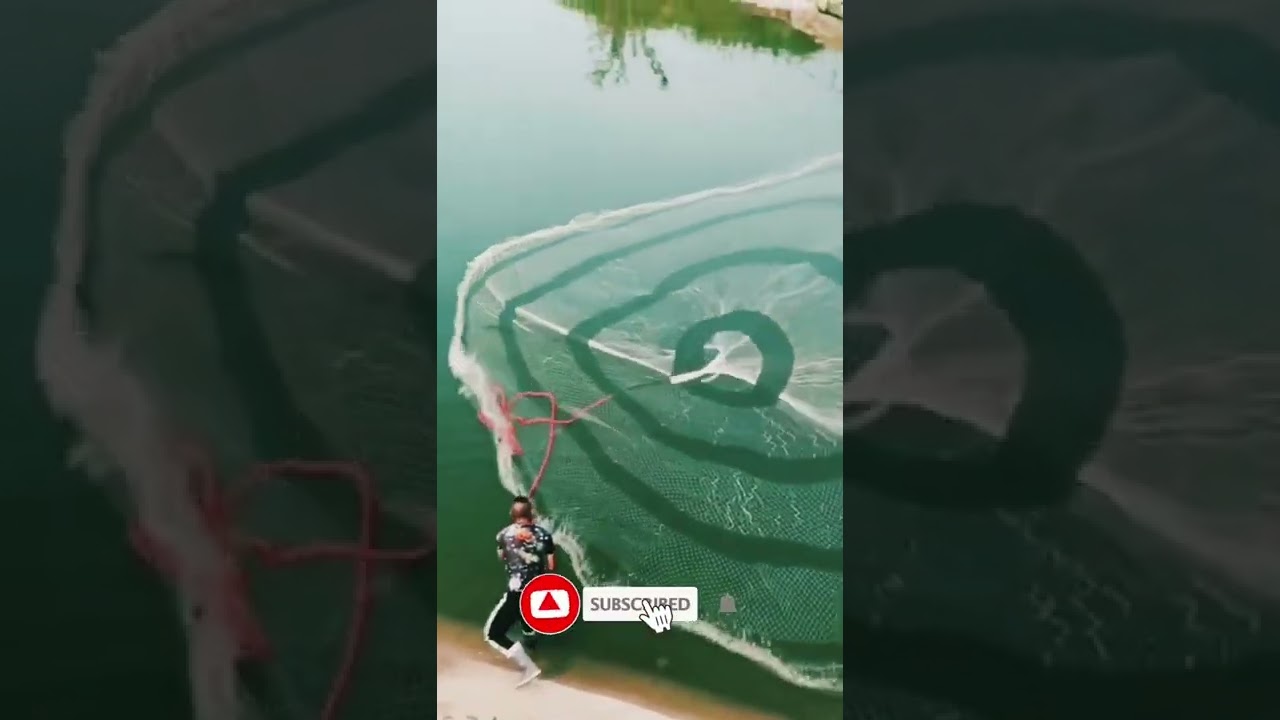 Fishing 🎣 in lake by using Big fishing 🎏 Net 