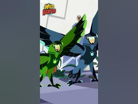 🦅 ACTIVATE HAWKS! | CREATURE POWERS | Wild Kratts 🦅 - YouTube