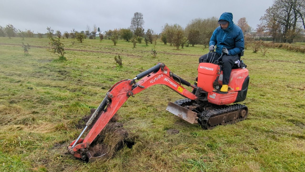 500 duobių ir ekskavatoriukas 🚜 | Ūkis #026