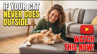 What Happens to Your Cat When You Keep Them Indoors Their Whole Life