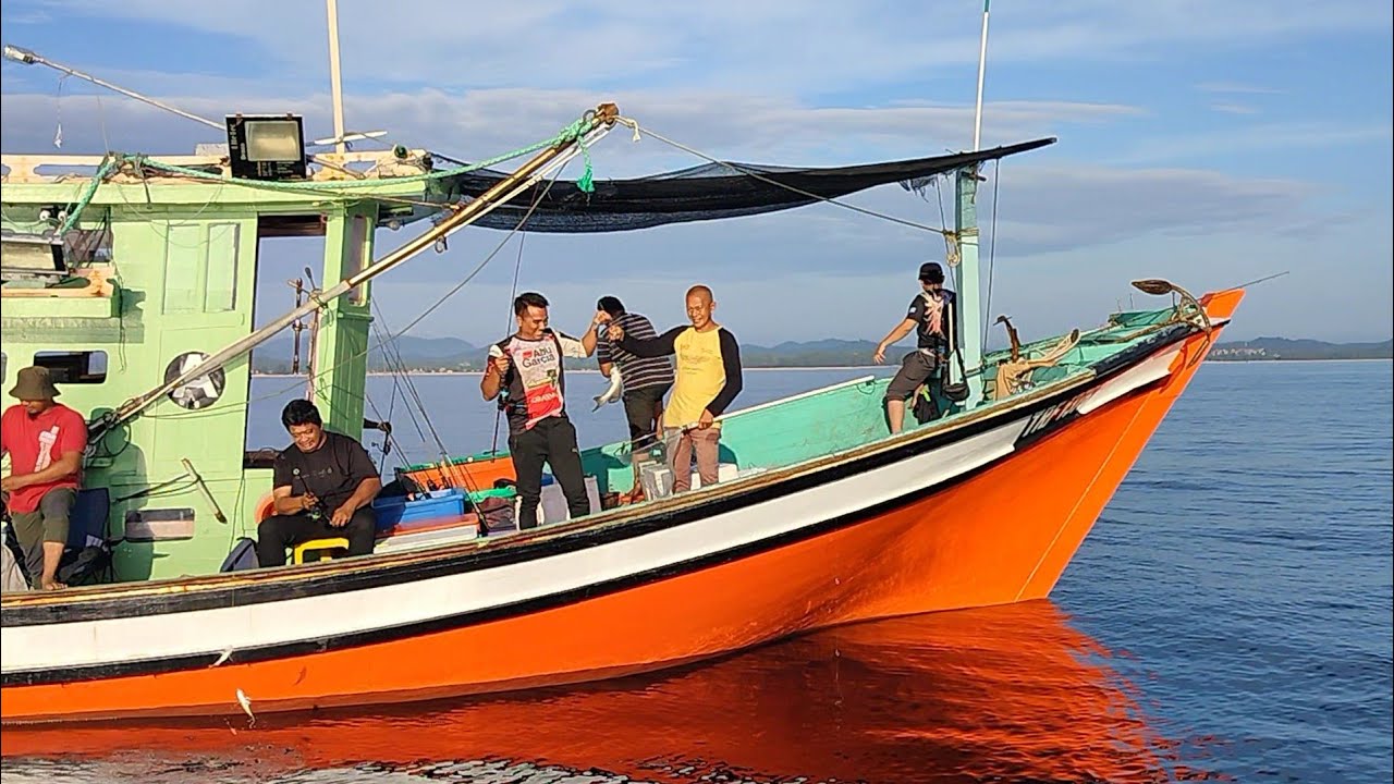 Footage bot candat sotong Marang