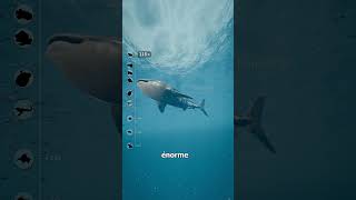 Le Poisson Des ABYSSES Le PLUS PROFOND Jamais Filmé 😳🌊 #shorts