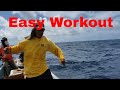 Working out with the yellowfins fishing fish islandlife