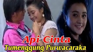 MISTERI ILLAHI - Api Cinta Tumenggung Purwacaraka 