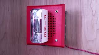 Wheelock CH-DF1-LSM-24 Chime/Strobe - Quick Demo