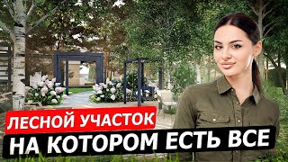 ЛЕСНОЙ УЧАСТОК как отдельный КУРОРТ. Это РЕАЛЬНО? хитрости ЛАНДШАФТНОГО ДИЗАЙНА на 35 сотках