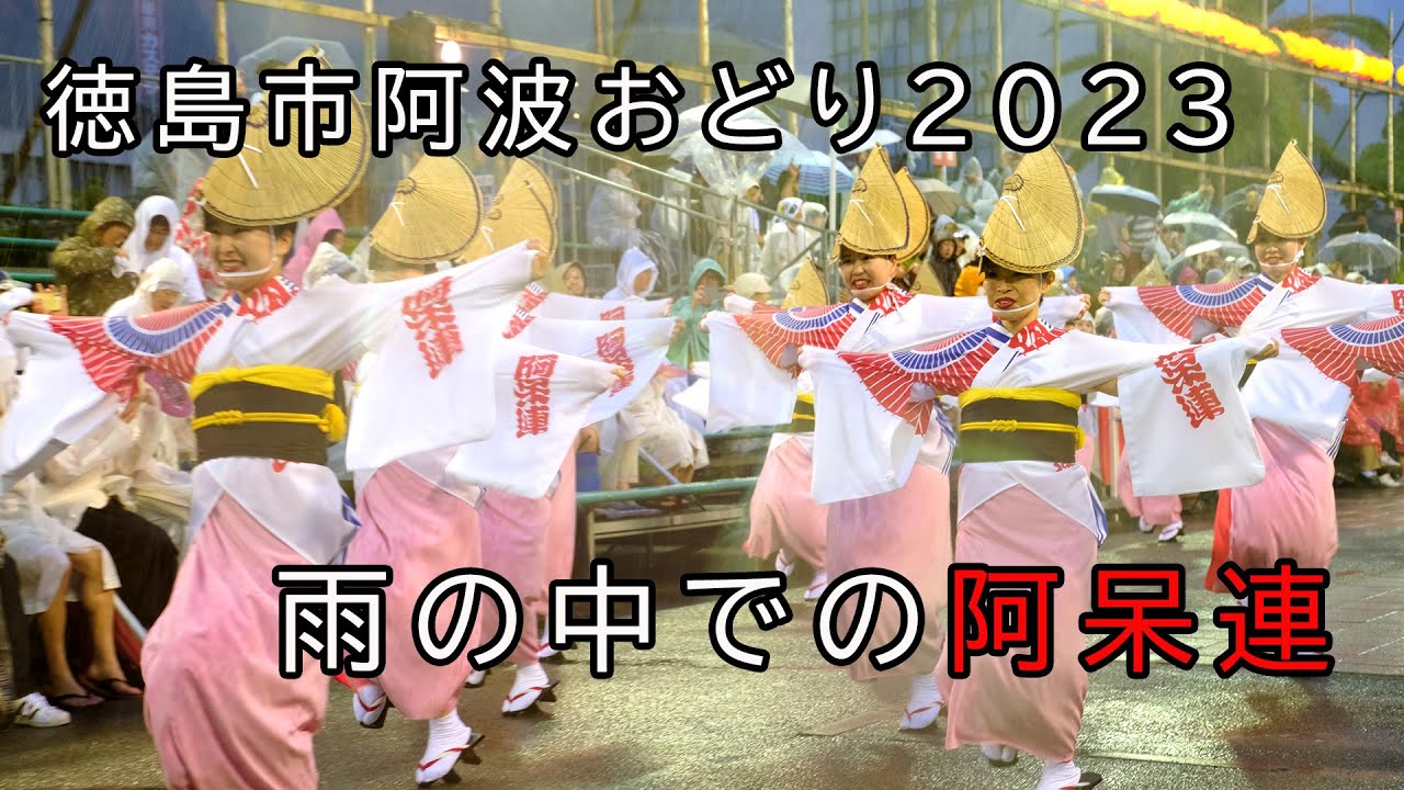 阿波おどり鉦 北浦和阿波おどり 2025】4K Traditional Japanese Dance 