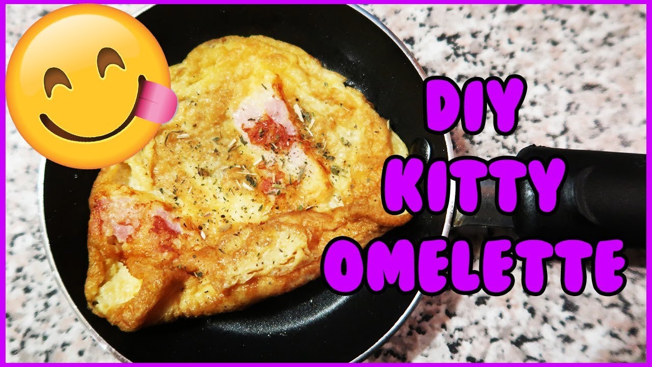 DIY Breakfast Omelette for Cats! How to Make a Homemade Breakfast ...