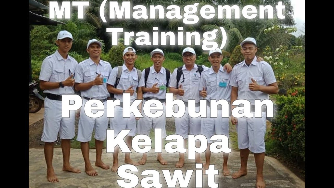 NGERI!! KABUR dari MT (Management Training) Di Perkebunan Sawit!!