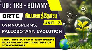 UG : TRB - BOTANY - நியமனத்தேர்வு - UNIT - 3 - CHACTERSTICS OF GYMNOSPERMS MORPHOLOGY AND ANATOMY OF