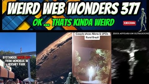 weird web wonders 377