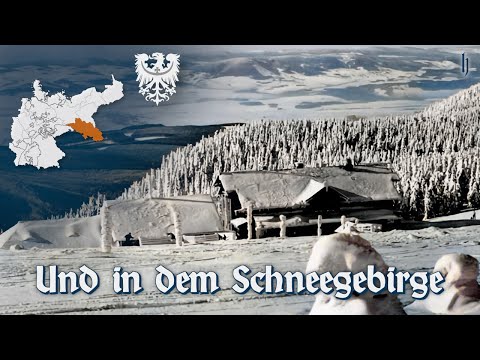 Und in dem