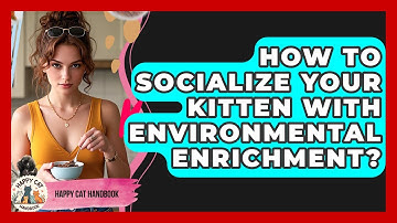 How To Socialize Your Kitten With Environmental Enrichment? - Happy Cat Handbook