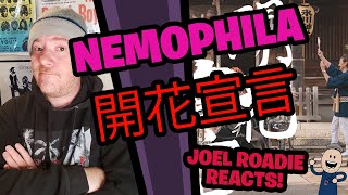NEMOPHILA / 開花宣言 [Official Music Video] - Roadie Reacts