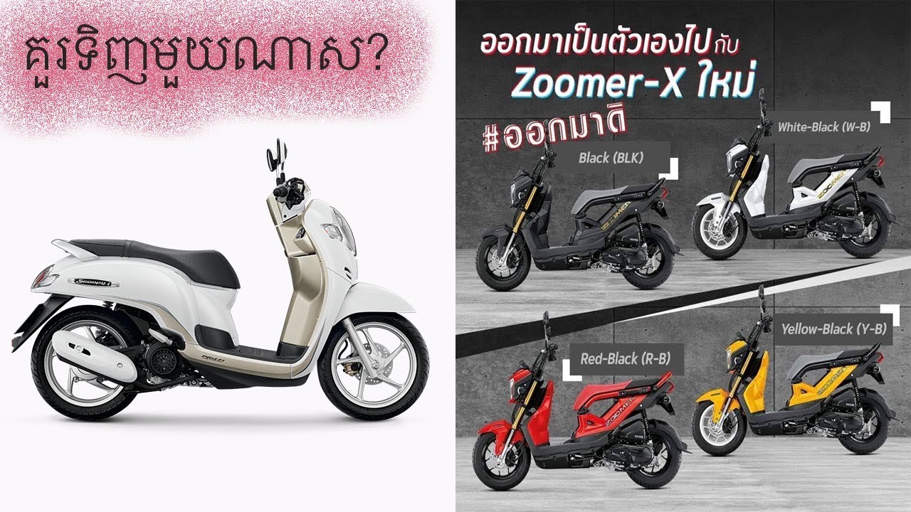Zoomer X 2019 VS Scoppy 2019 គួរទិញមួយណា? បូរ៉ា - BORA