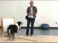 Dog Training - The Art of Trick Dogging - Emily Larlham Dog Training - The Art of Trick Dogging - Emily Larlham
