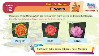 12-Flowers Smart Scope-1 General Knowledge Genius Kidz School Learning