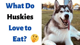Famous What can Huskies Eat and Can’t Eat? | Ultimate Husky Diet | Net Worth