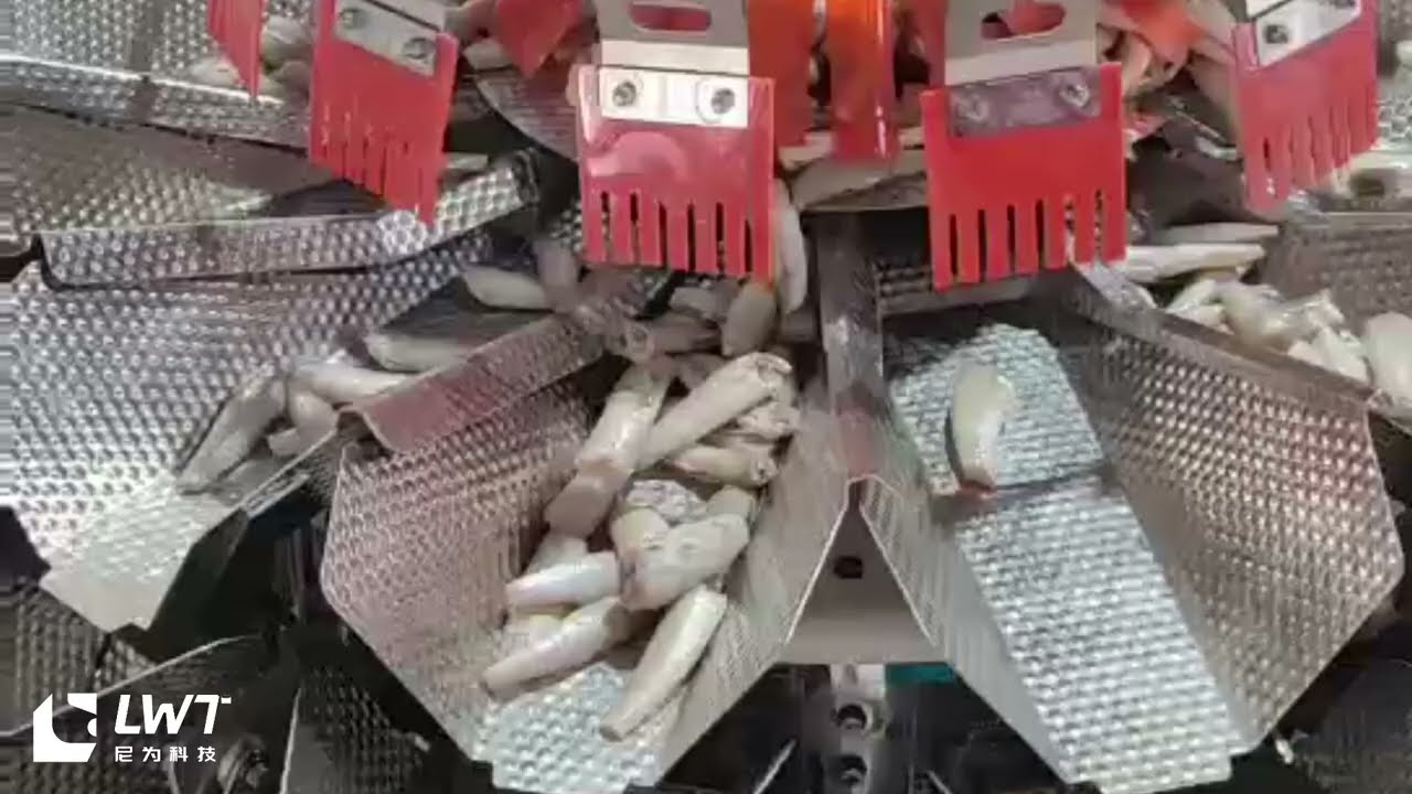 Sardine multi-head scale filling machine
