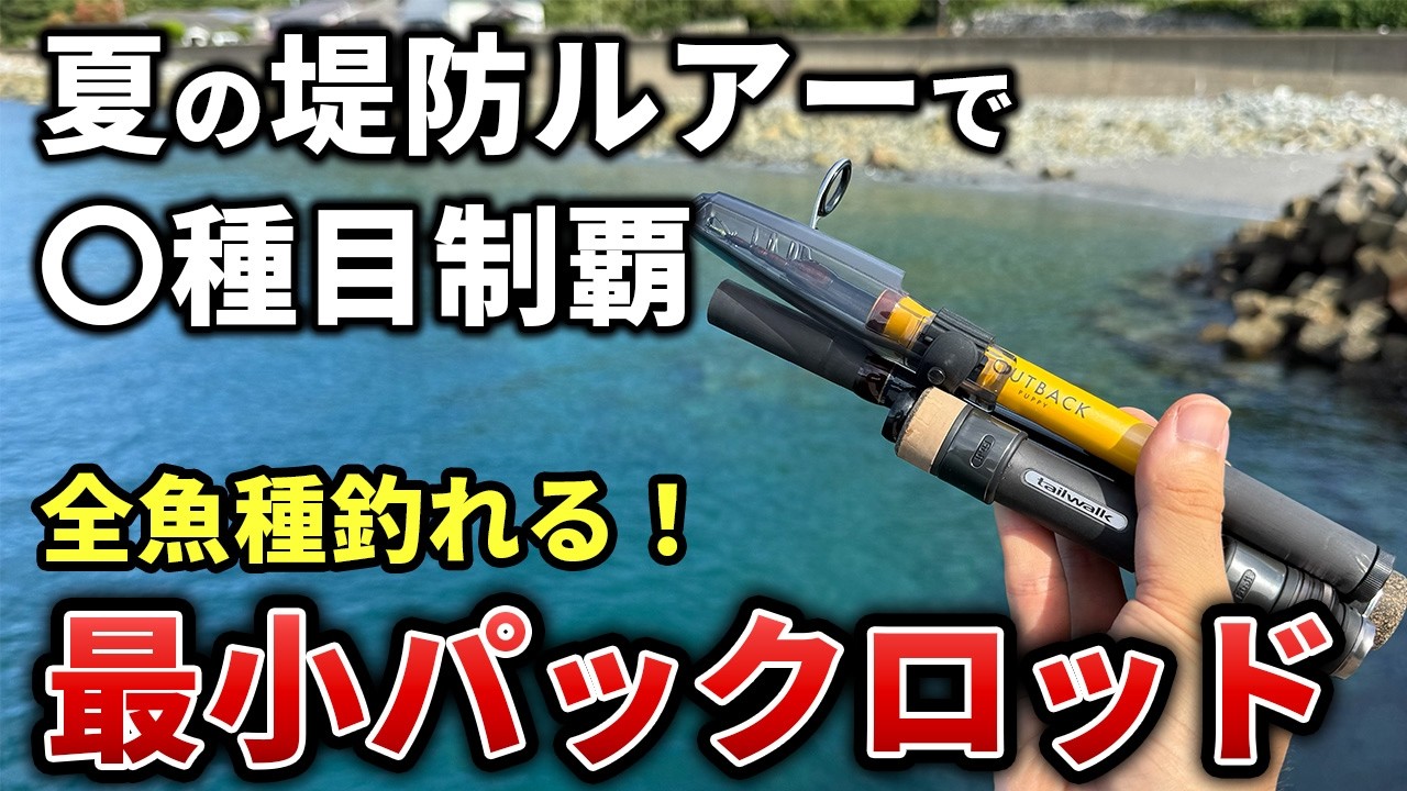 弱点あり？】テイルウォーク アウトバックパピー酷使徹底インプレ