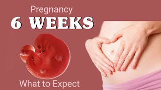 6 week pregnancy baby growth:what to expect during week 6 of pregnancy|6th week of pregnancy| screenshot 2