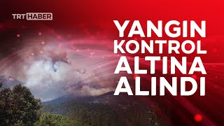 Balıkesirde Orman Yangını