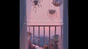 قرآن كريم بصوت عبدالرحمن مسعد || حالات واتس اب دينية - سورة النبأ