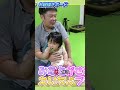 みなと君とエイト君の仲良しコンビの日常とかわいい仕草 #shorts #切り抜き #ひめちゃんとおうくん