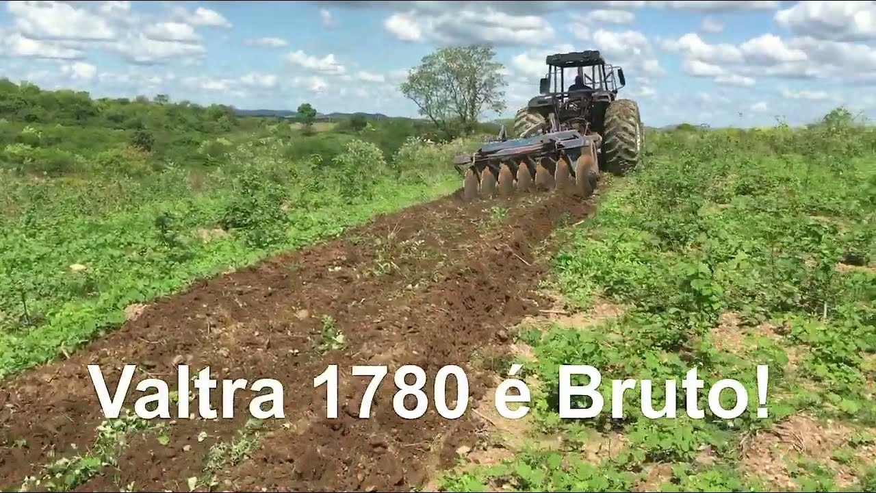 Trator Valtra 1780 Gradeando no Sertão