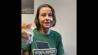 Quick Home Studio Tips: Filming with Pip! #shorts