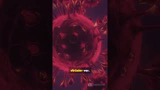 Zombi Virüsü Gerçek Hayatta Mümkün Mü?