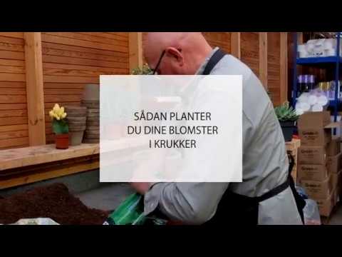 Tilplantning af havekrukker i plantorama youtube Spisestue fransk landstil