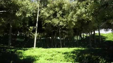 Unreal Engine vegetation and wind test