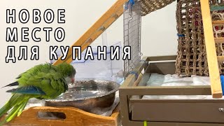 СМЕШНЫЕ ПОПУГАИ КУПАЮТСЯ