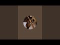 Harsh Pandey is live!