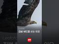 파주 독수리 식당 레오포토 LEOFOTO 짐벌헤드 PG-3