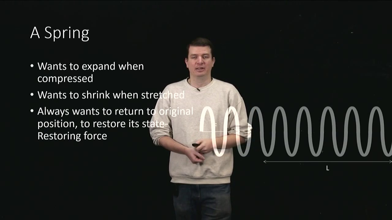 Introduction Hooke's Law YouTube
