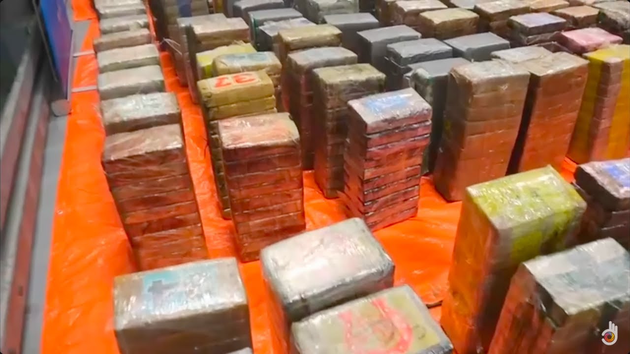 Нидерланды: Новая кокаиновая мафия | Марокканская мафия