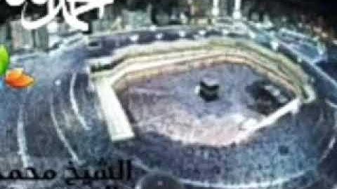 سورة التغابن، الشيخ محمد المحيسني