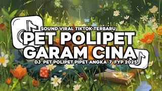 DJ PET POLIPET PIPET ANGKA 7 | GARAM CINA REMIX FULL SONG VIRAL TIKTOK TERBARU YANG KALIAN CARI 