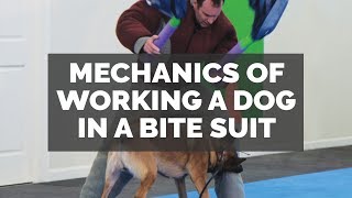 Mechanics of Working a Dog in a Suit with Mark Keating I Trailer