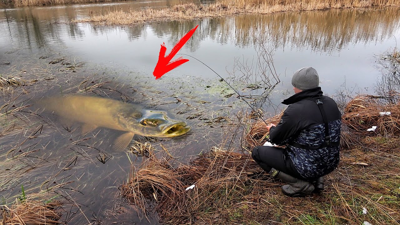 Рыбалка на УЛЬТРАЛАЙТ ВЕСНОЙ в марте!!! СРАЗУ ПОПАЛ на ЩУКУ... Ловля ЩУКИ и ОКУНЯ на микроджиг