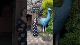 Maya; An Illusion. Please watch the video on my channel! #bhagavadgita #karma #lordkrishna