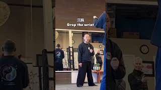 Download Lagu Drop the wrist 沉腕(chen wan) #taichi #taiji #flow #qigong #balance MP3