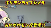 ポケモンｕｓｍ あのかわいいポケモンが登場するかも あゆみん家24時間生中継 Youtube