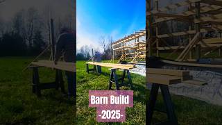 A little more progress #barnbuild #barn #farm #minifarm ##country #trending #hobbyfarm