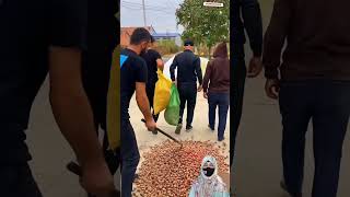😍Cute baby laughing🤣 | Funny Baby #laughing #cute #shorts #viral #stylish