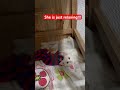 She is just relaxing!!!