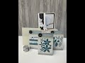 Essential Christmas Collection - Snowy Foliage
