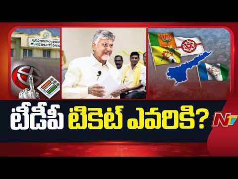AP Municipal Polls: స్థానిక సంస్థల ఎన్నికలు.. అభ్యర్థుల ఎంపికపై టీడీపీ కసరత్తు! | NTV Telugu